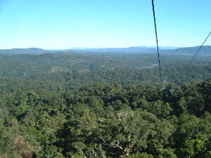 熱帯雨林の上を通るゴンドラ、スカイレール